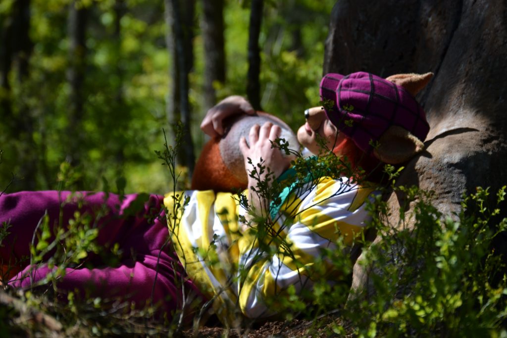 I Dyreparken kan du oppleve skuespillere i Hakkebakkeskogen | Foto: Elisabeth Høibo©Visit Sørlandet