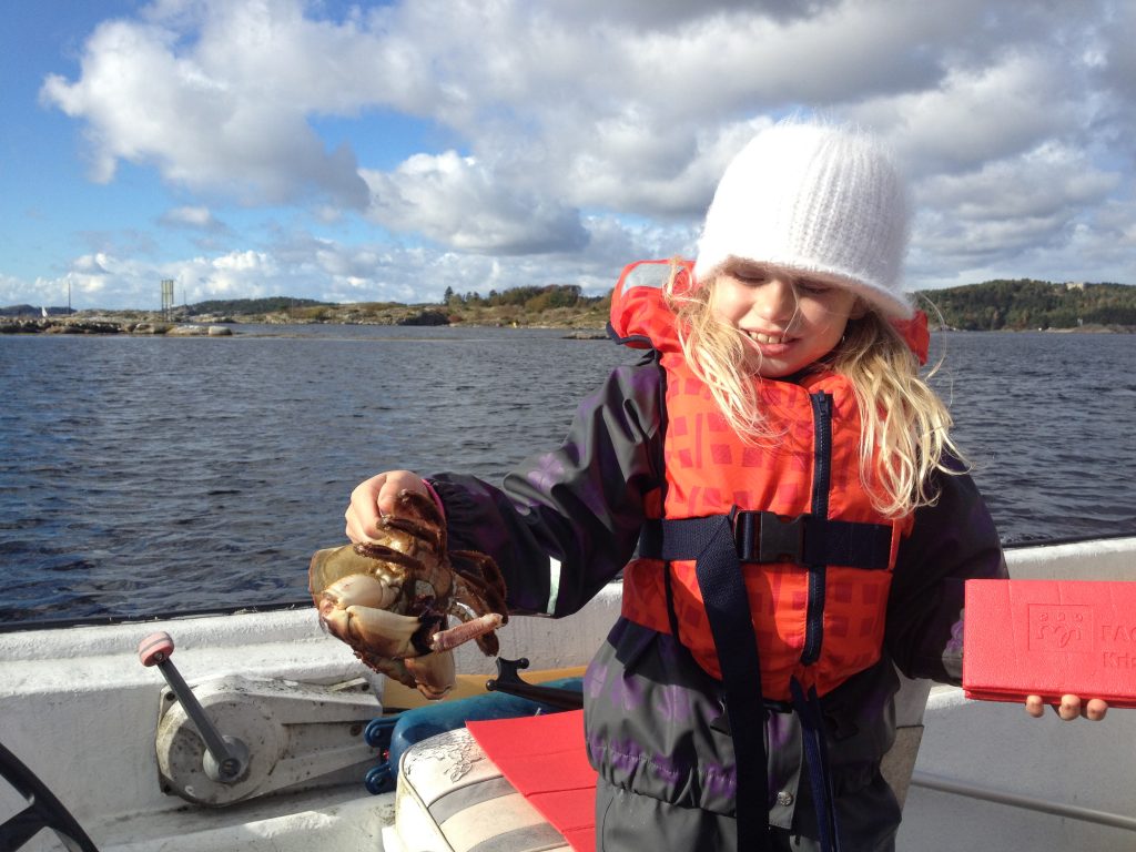Krabbefiske Flekkerøy