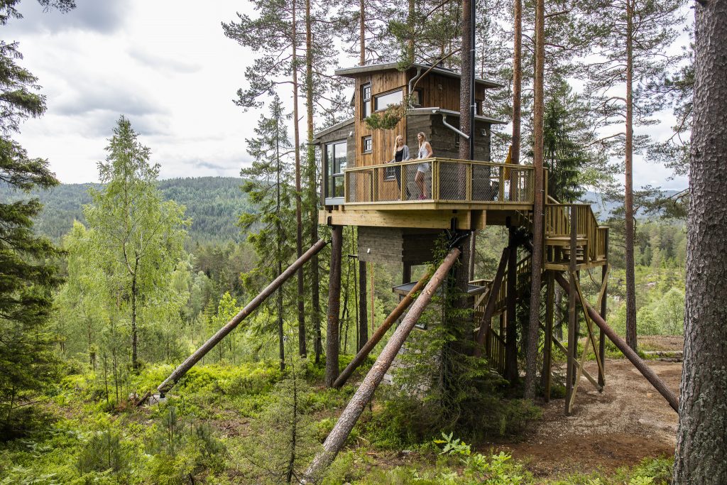 Overnatt i ei rålekker hytte i toppen av et tre. Foto: Adam Read©Visit Sørlandet