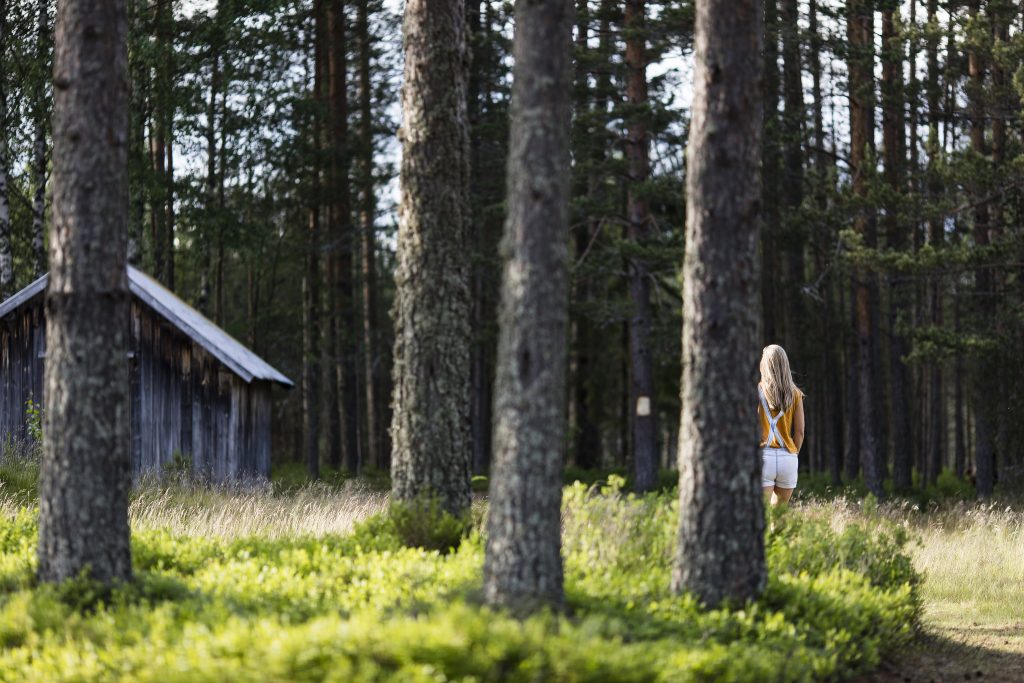 The woods in Gjerstad