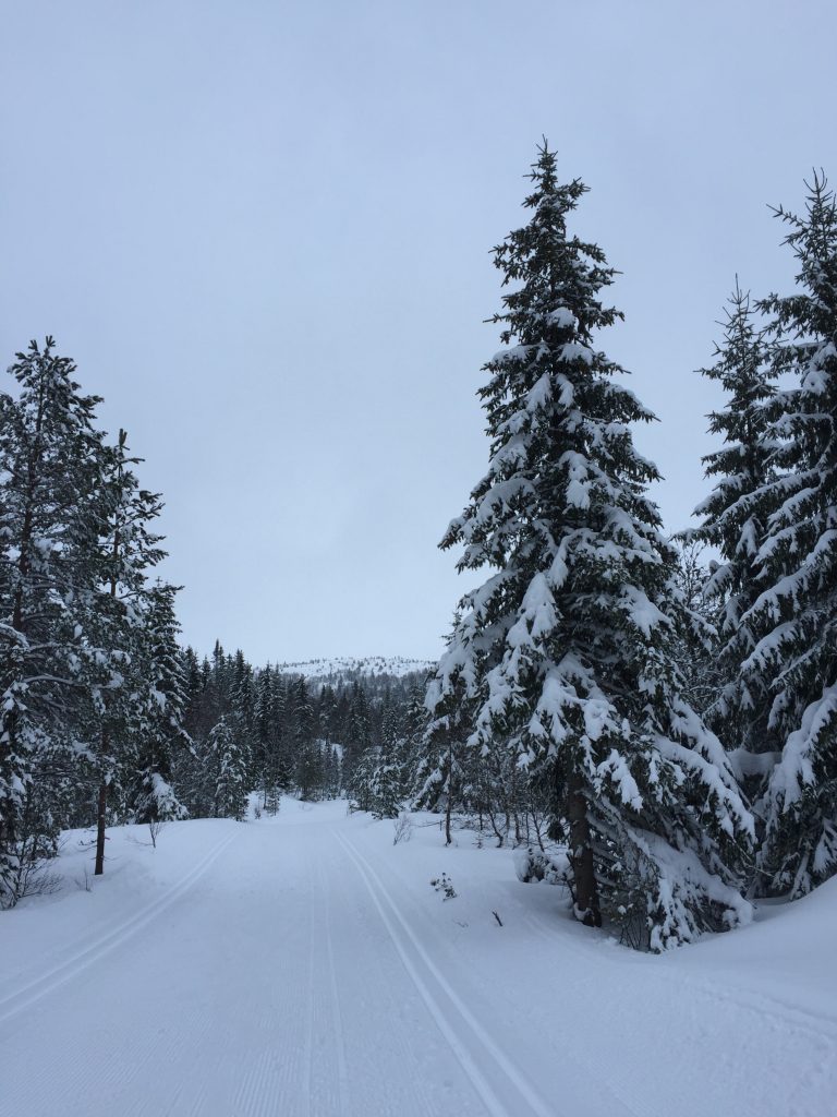 Spenn på deg skiene, vintervakkert landskap venter på deg. Foto: E. Høibo©Visit Sørlandet