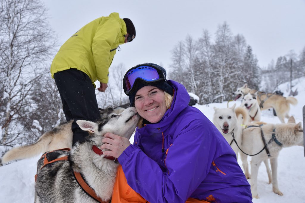 Alaska husky er menneskekjære og veldig glade. Foto: E. Høibo©Visit Sørlandet