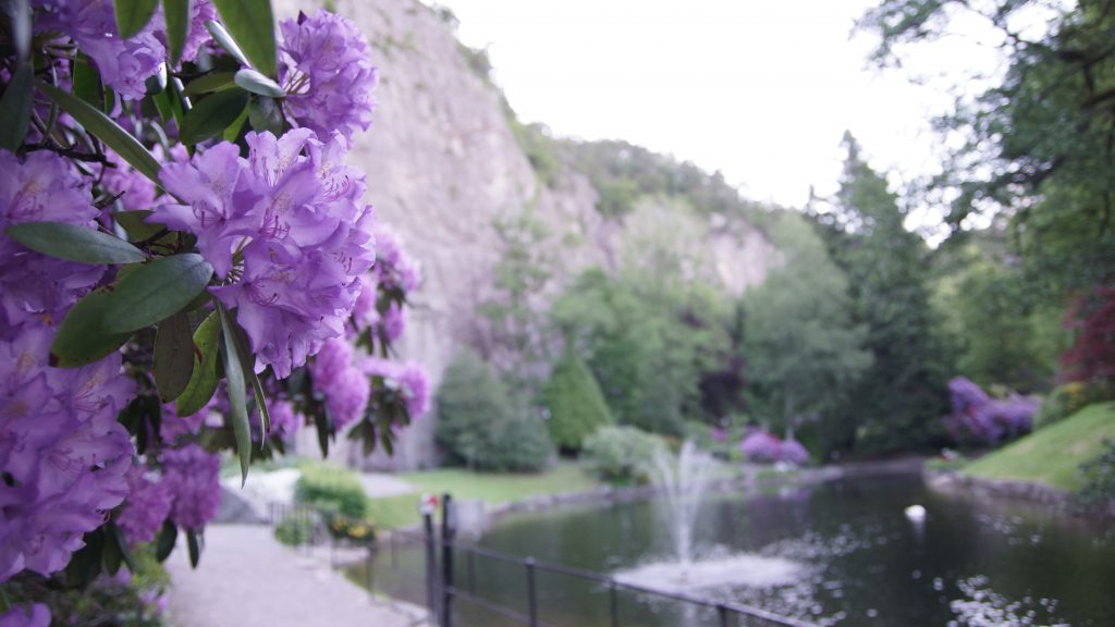 Ravnedalen er et av de flotteste turområdene i Kristiansand. Foto: Henrik Moum©Visit Sørlandet