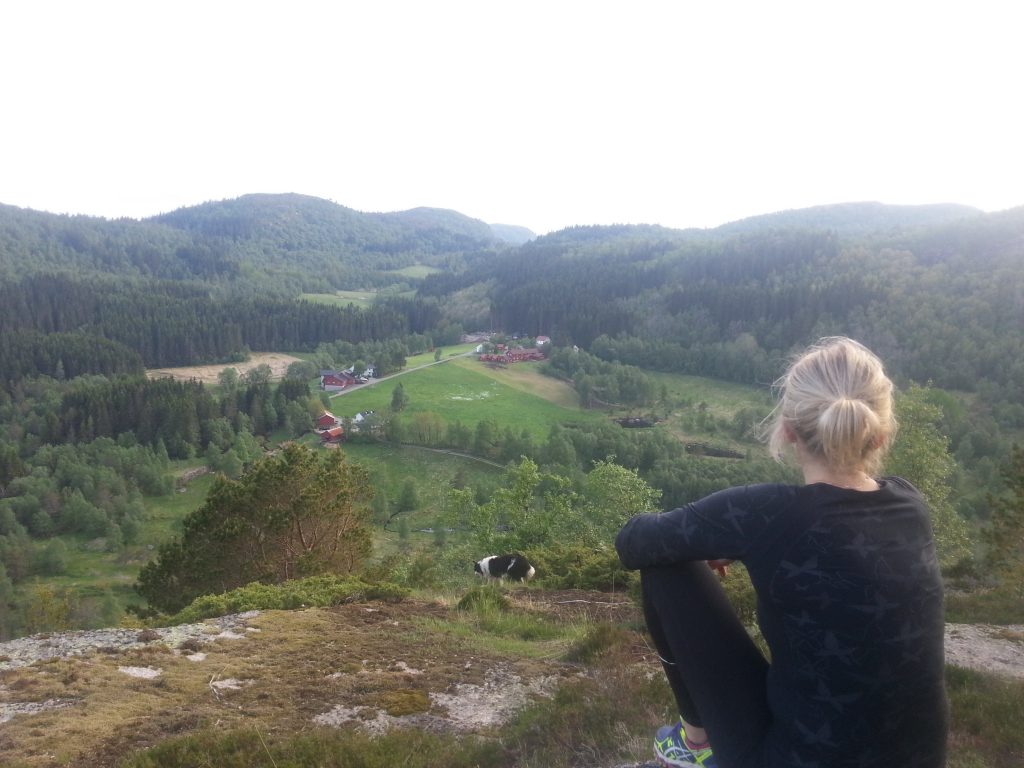 Utsikt over Heddan Gard i Hægebostad.