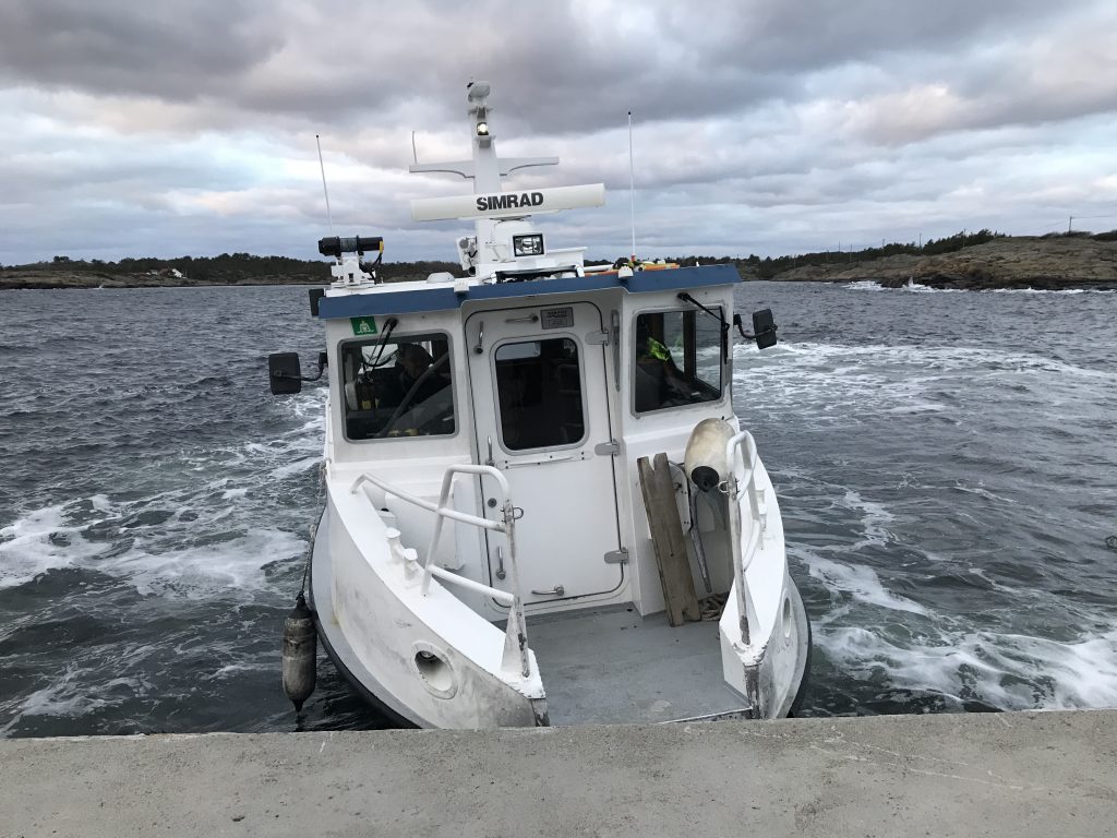 Ferge Sørlandets Maritime Lyngør